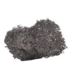 charcoal moss