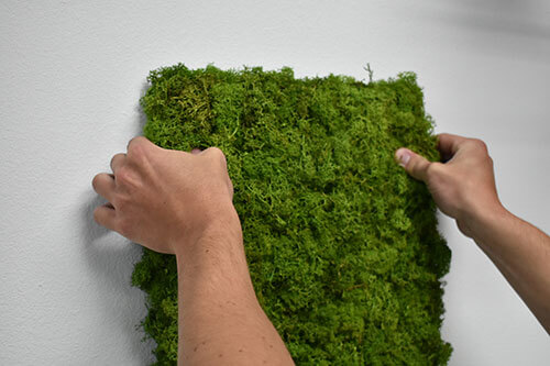 DIY Reindeer Moss Panels- Interior Wall Features – Moss Acres