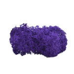 purple moss